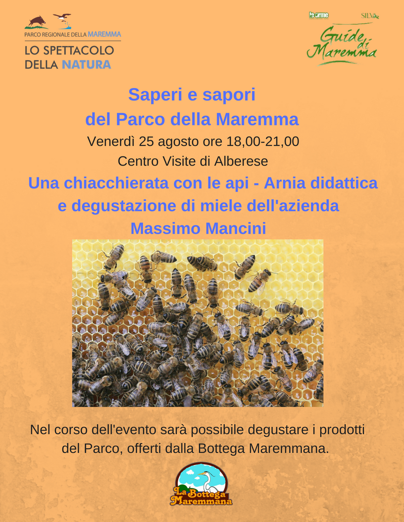 Evento Centro Visite: una chiacchierata con le api