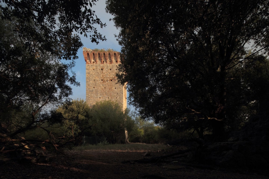 Torre bassa c c