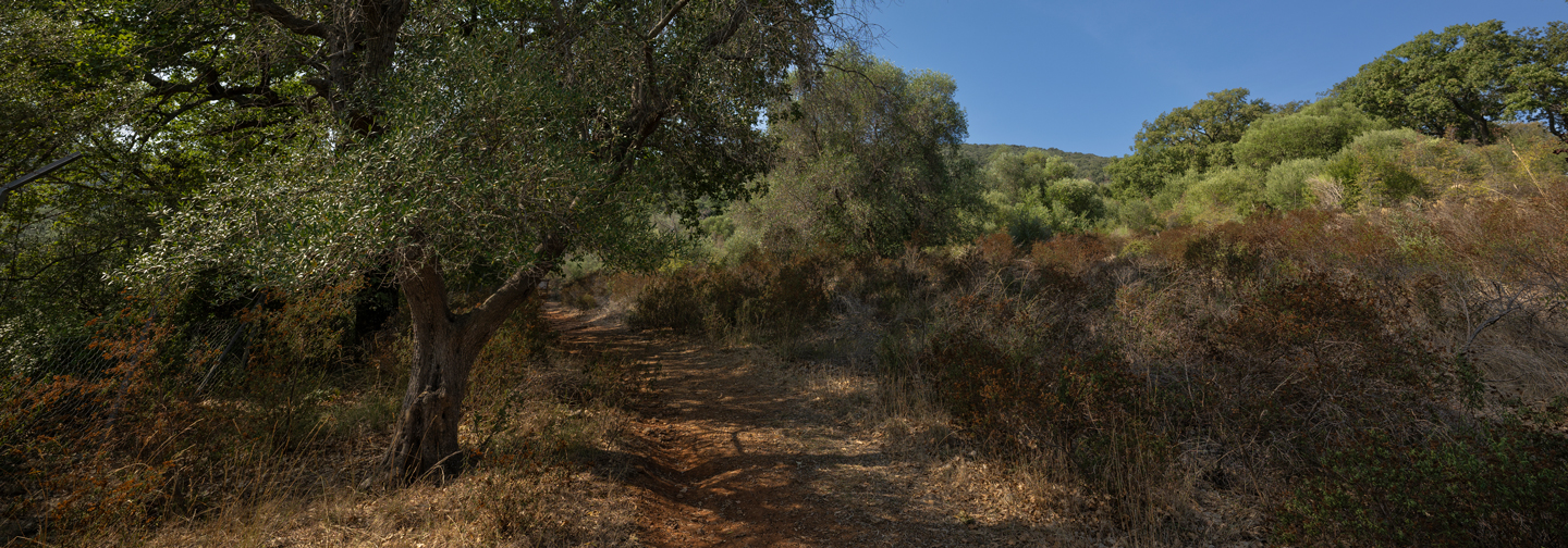 Parco Regionale della Maremma — foto 8
