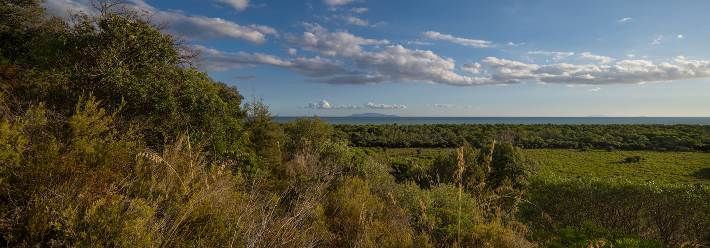 Parco Regionale della Maremma — foto 4