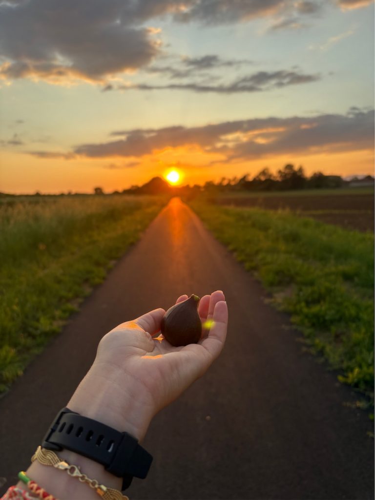 purely decorative image