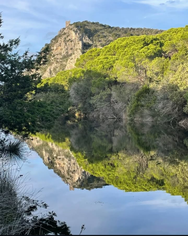 purely decorative image