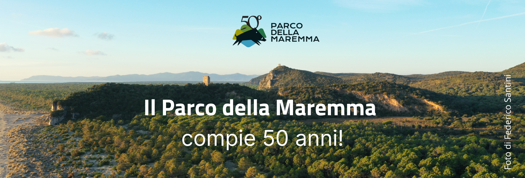 purely decorative image