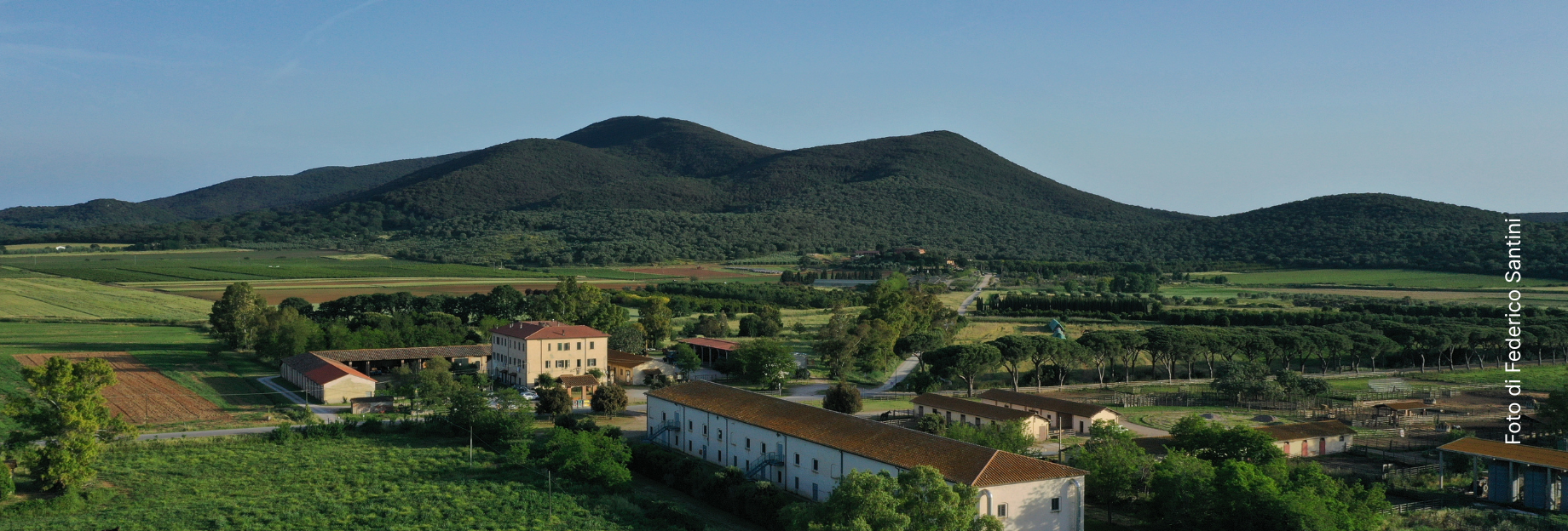 purely decorative image