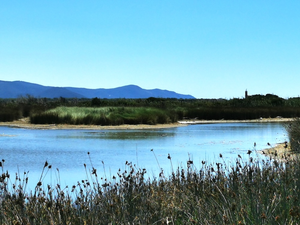 purely decorative image