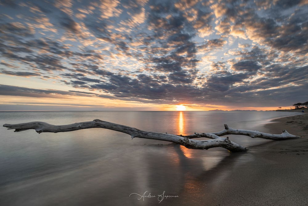 purely decorative image