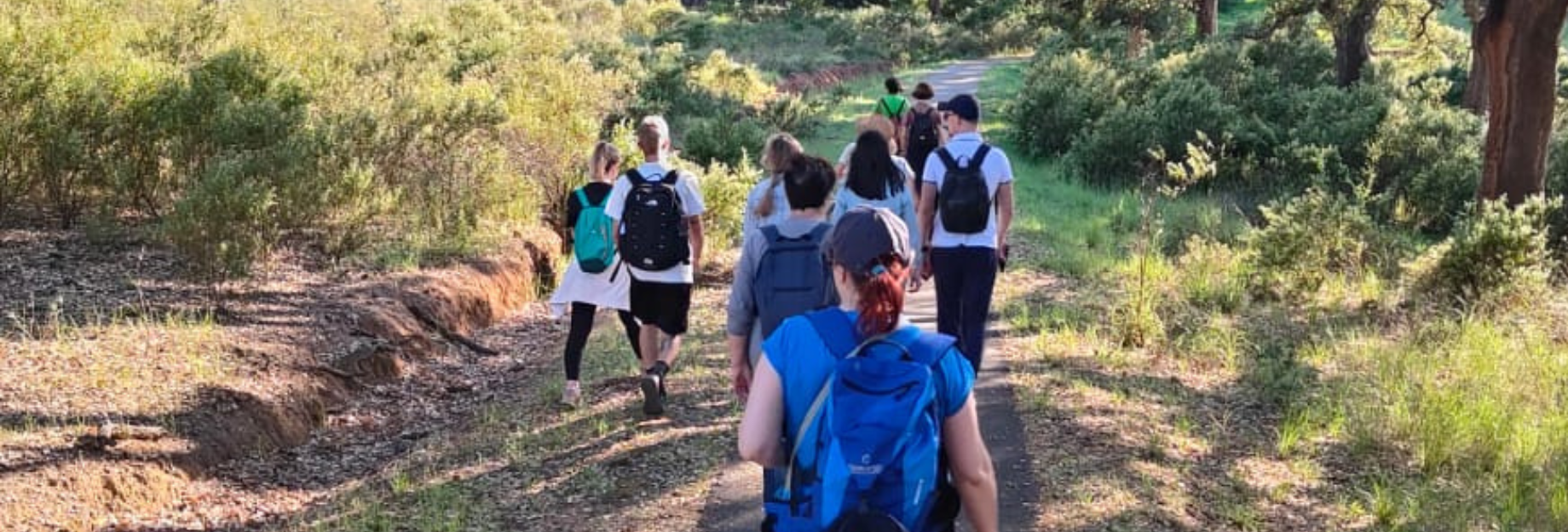 purely decorative image