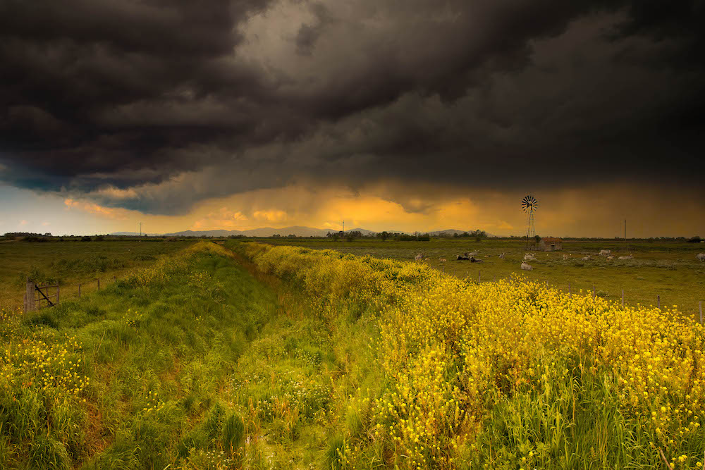 purely decorative image