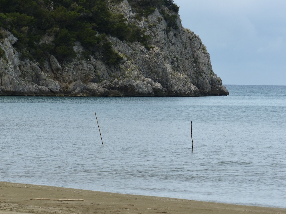 purely decorative image