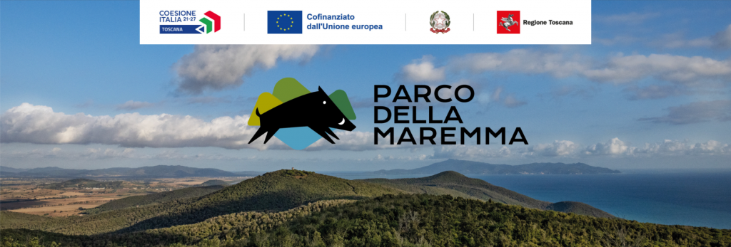 purely decorative image