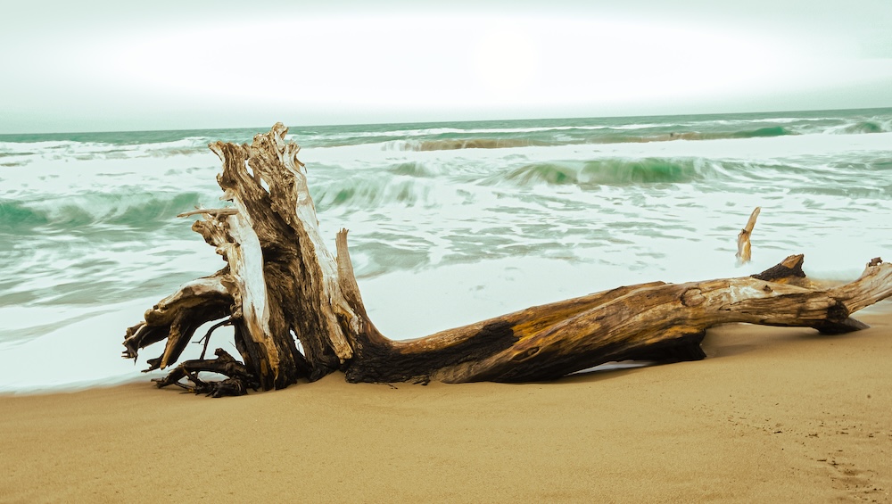 purely decorative image