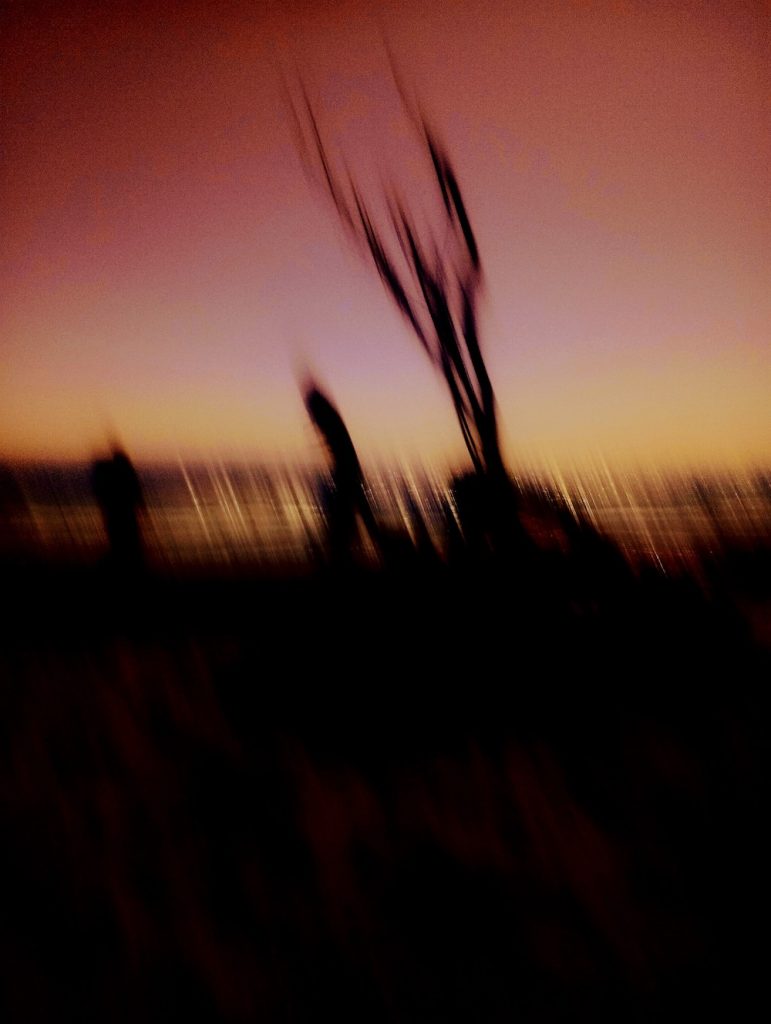 purely decorative image