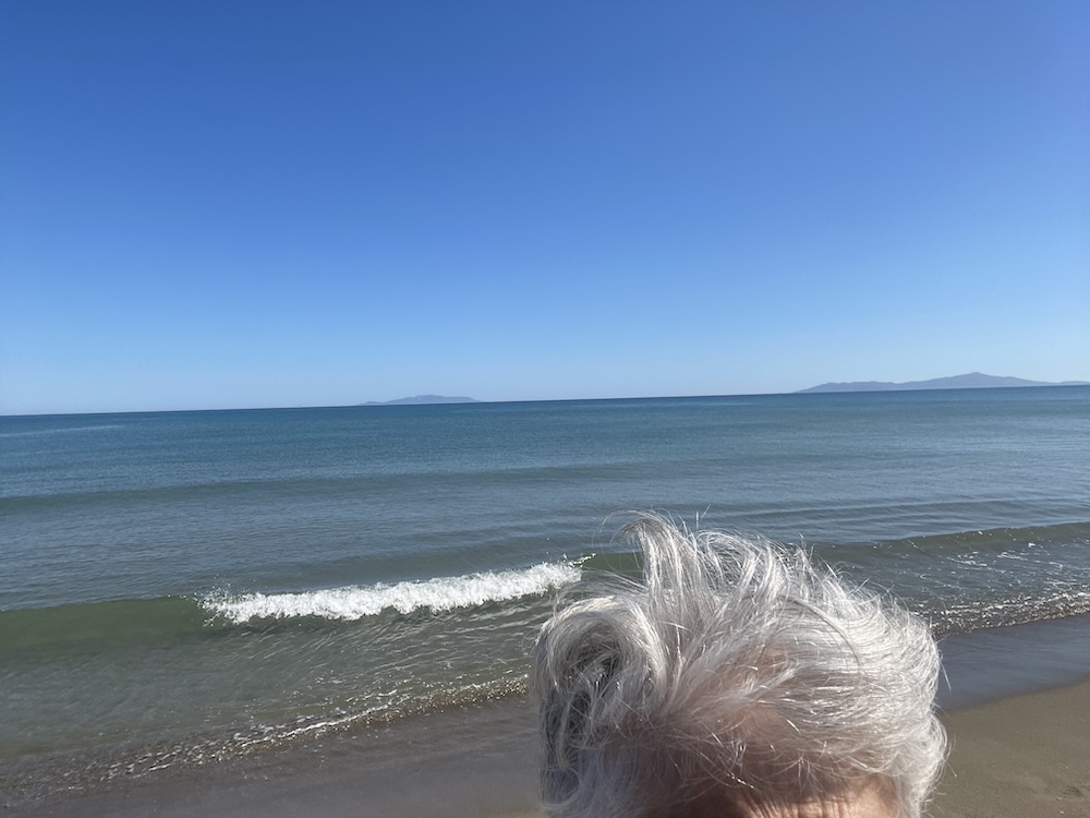 purely decorative image