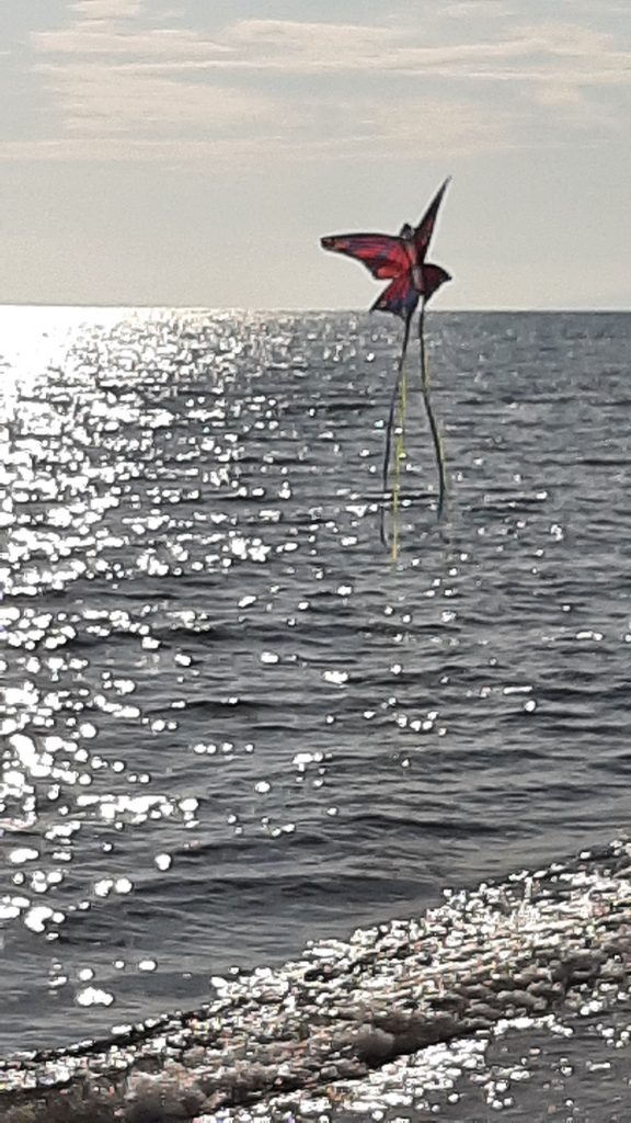 purely decorative image