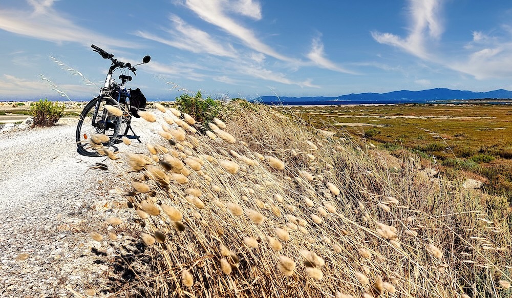 purely decorative image