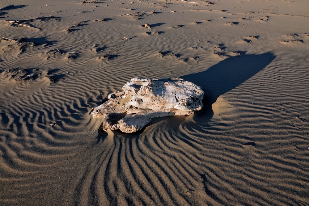 purely decorative image