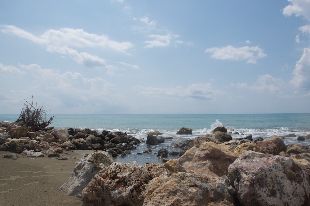 purely decorative image