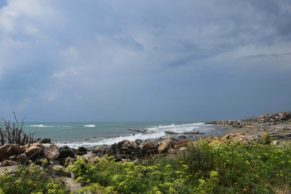 purely decorative image