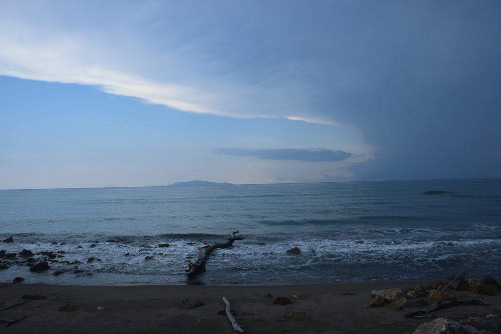 purely decorative image