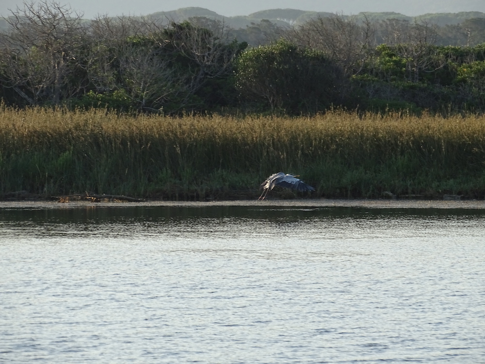 purely decorative image