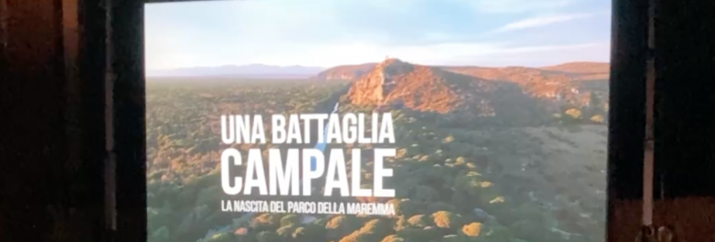 purely decorative image