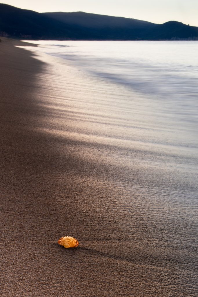 purely decorative image