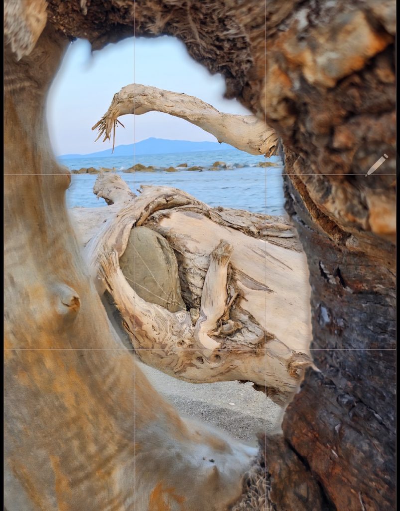 purely decorative image