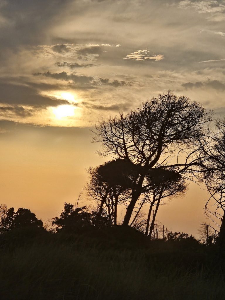 purely decorative image