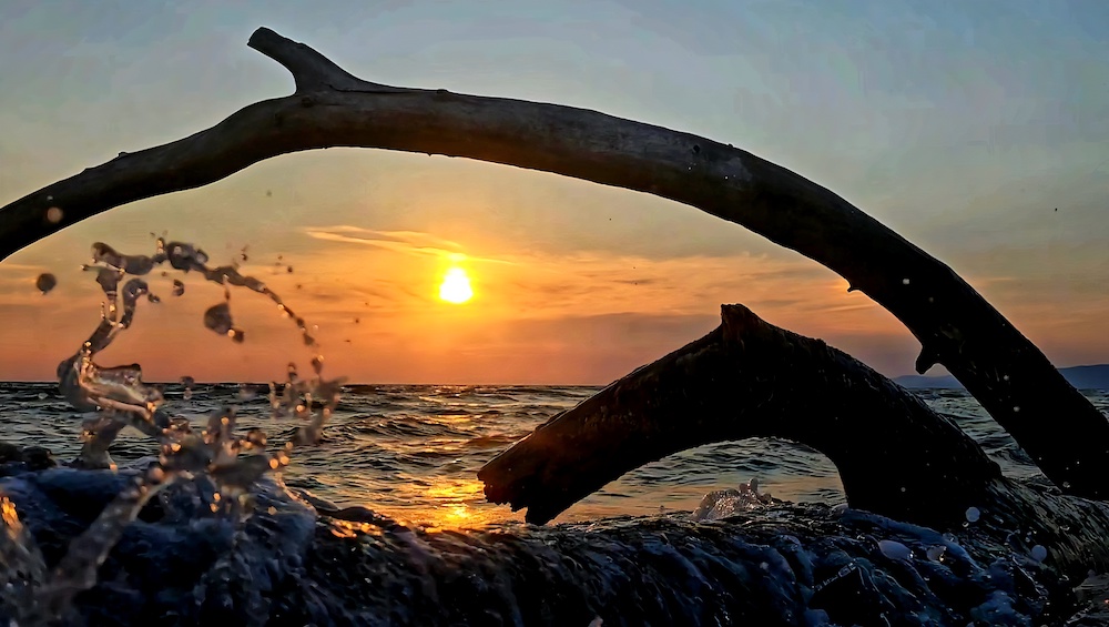 purely decorative image