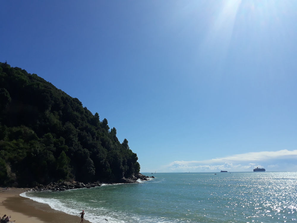 purely decorative image