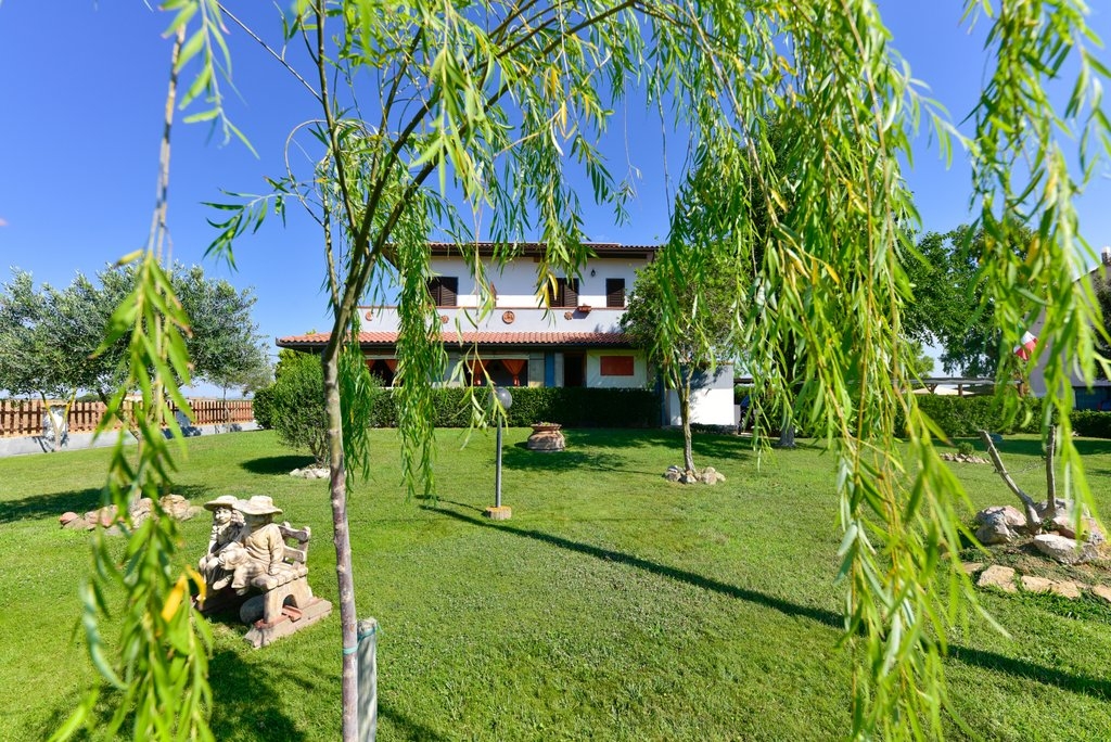 purely decorative image