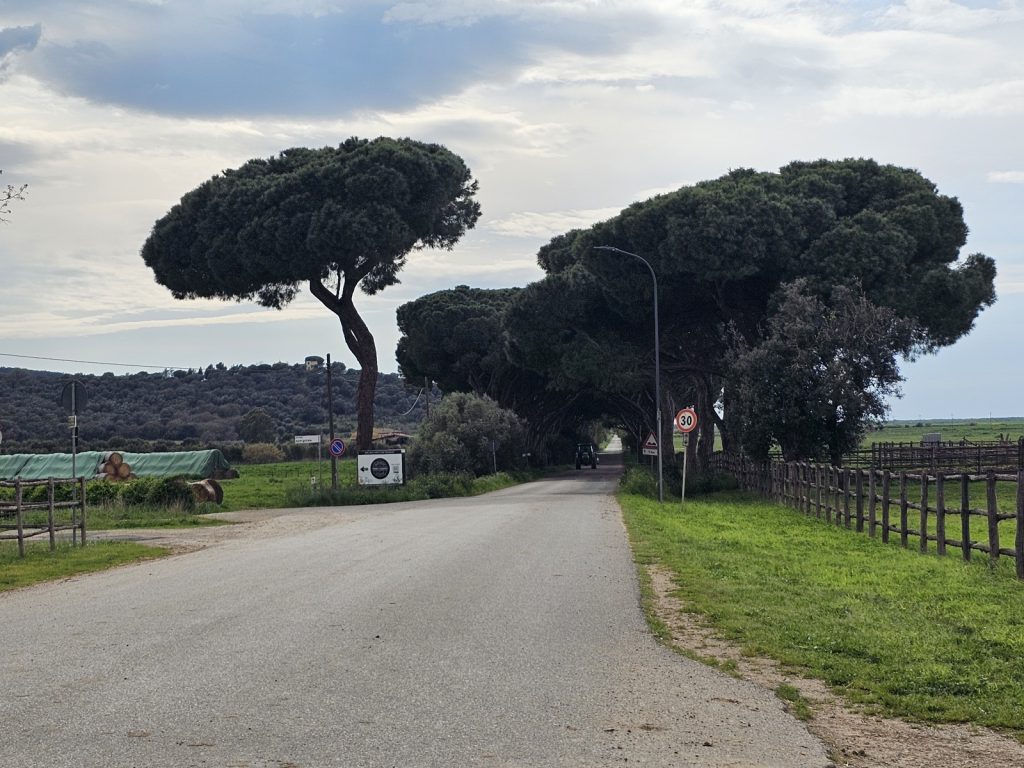 purely decorative image