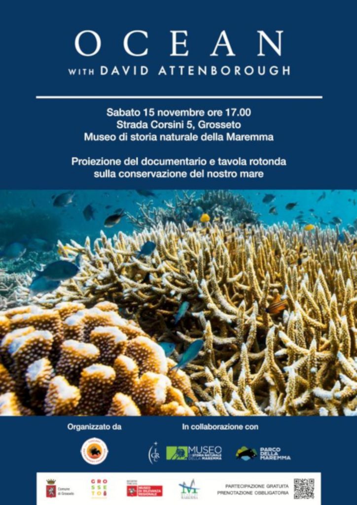 purely decorative image