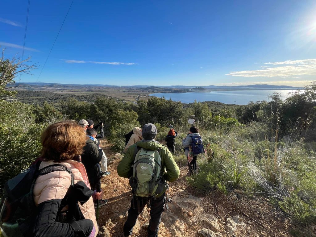 purely decorative image