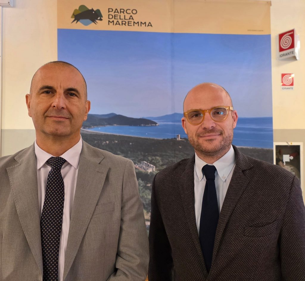 purely decorative image