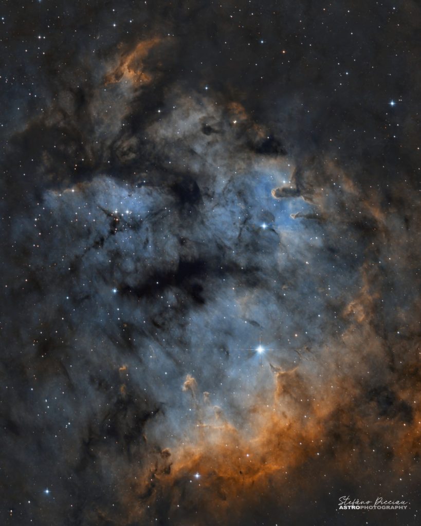 purely decorative image