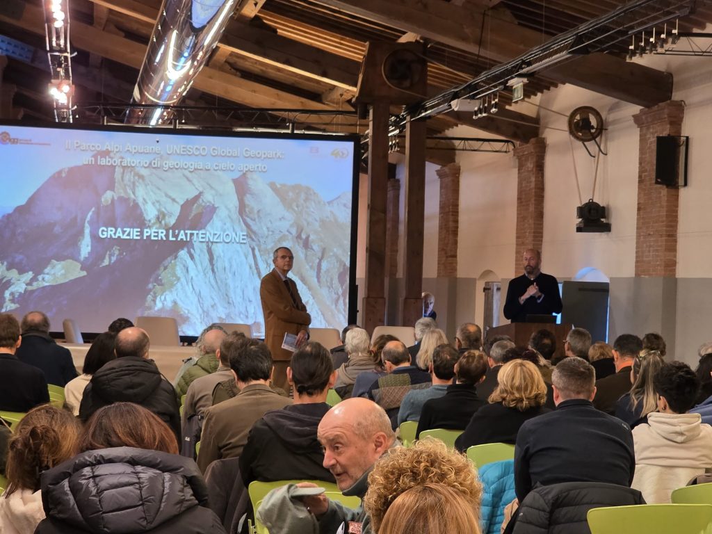 purely decorative image