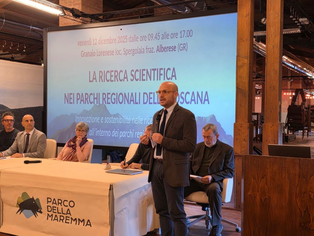 purely decorative image