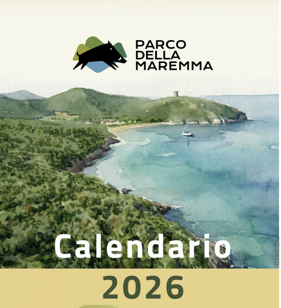 purely decorative image