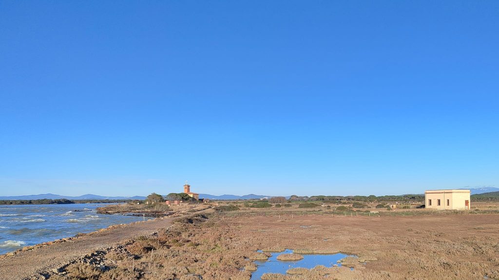 purely decorative image