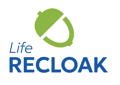 purely decorative image