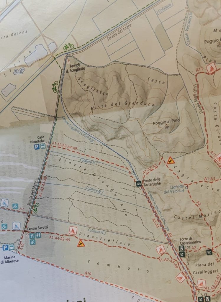 purely decorative image