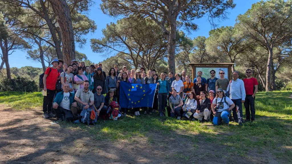 purely decorative image