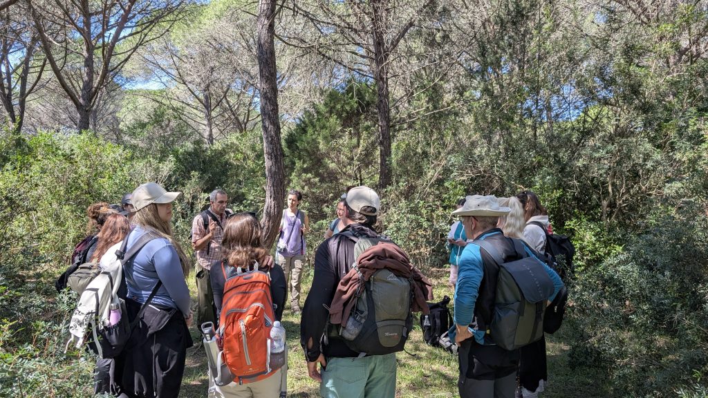 purely decorative image