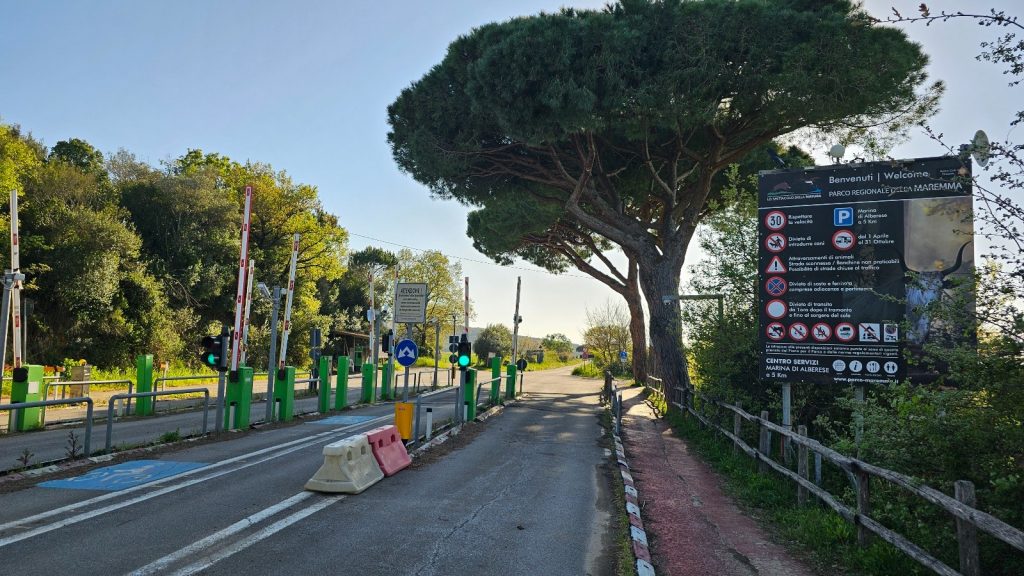 purely decorative image