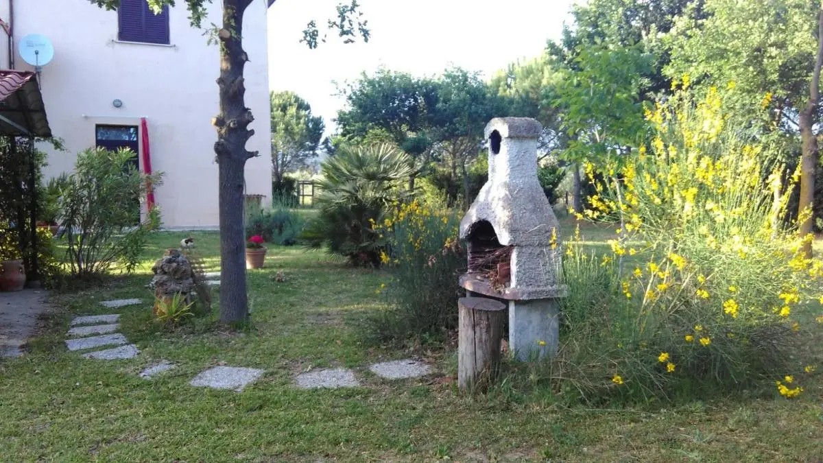 “Verdestella